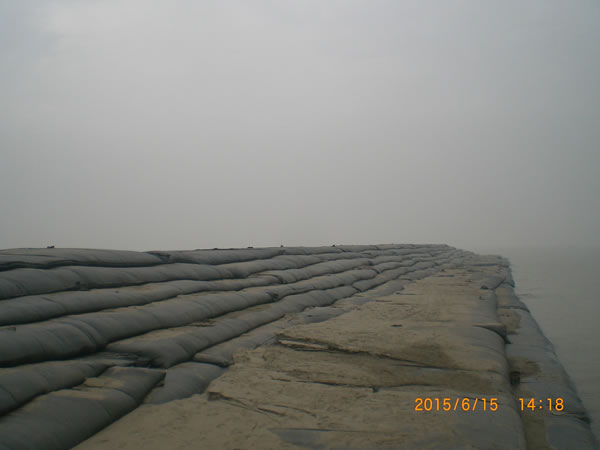 共同進步，共同成長