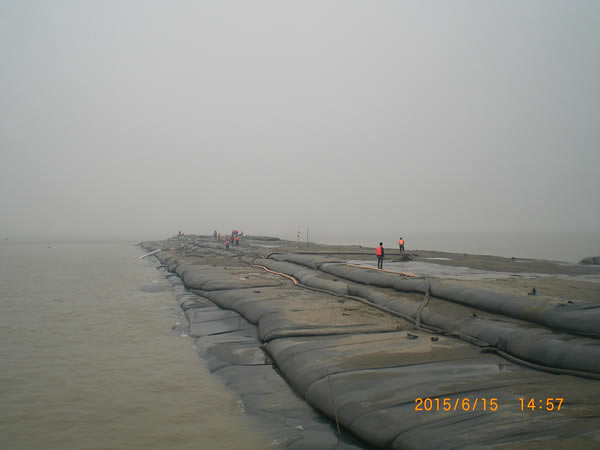 共同進步，共同成長